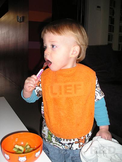 Imme 29 oktober 2007 (2).JPG